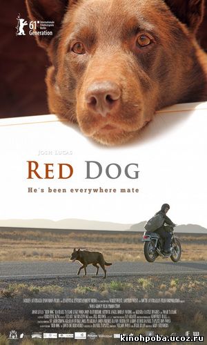Рыжий пес / Red Dog